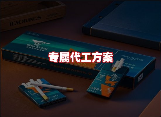 专业团队